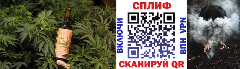 Cannafood конопля сколько стоит Медногорск