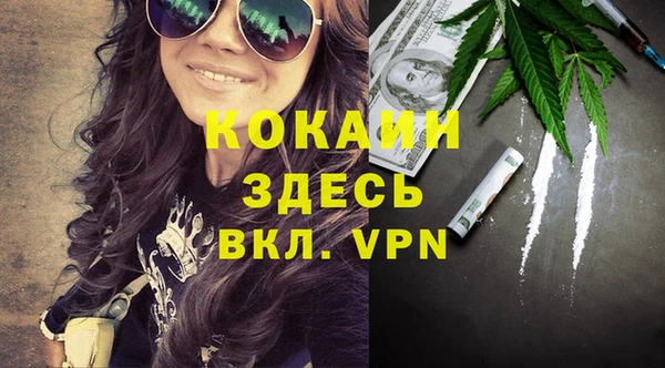 прущая мука Арсеньев